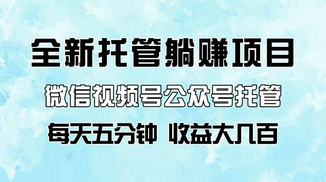 （14425期）全新托管躺赚项目，微信视频号公众号托管代运营，每天五分钟，收益大几百-副业心选