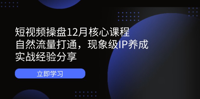 （14447期）短视频操盘12月核心课程：自然流量打通，现象级IP养成，实战经验分享-副业心选