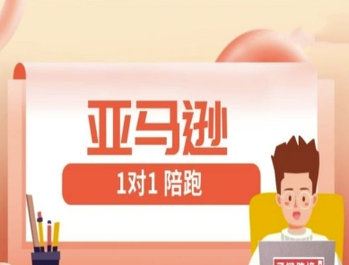 亚马逊1对1陪跑课(FBA/FBM精铺)跨境亚马逊教程 - 副业心选-副业心选