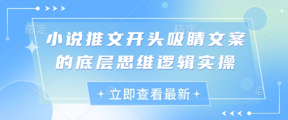 小说推文开头吸睛文案的底层思维逻辑实操 - 副业心选-副业心选