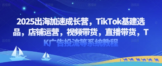 2025出海加速成长营，TikTok基建选品，店铺运营，视频带货，直播带货，TK广告投流等系统教程 - 副业心选-副业心选