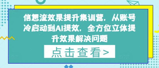 信息流效果提升集训营，从账号冷启动到AI提效，全方位立体提升效果解决问题 - 副业心选-副业心选