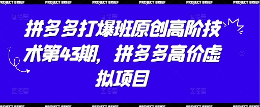 拼多多打爆班原创高阶技术第43期，拼多多高价虚拟项目 - 副业心选-副业心选