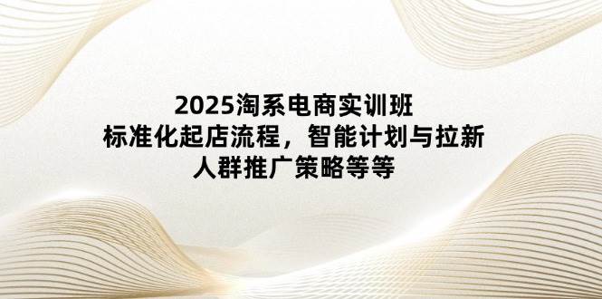 2025淘系电商实训班：标准化起店流程，智能计划与拉新，人群推广策略等等-副业心选