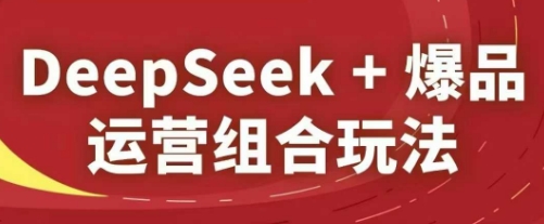 DeepSeek+爆品运营组合玩法，2025淘系精品课 - 副业心选-副业心选