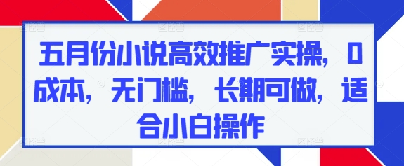 五月份小说高效推广实操，0成本，无门槛，长期可做，适合小白操作-副业心选