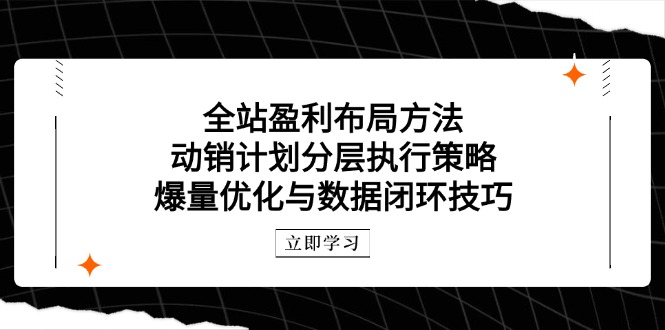 （14698期）全站盈利布局方法：动销计划分层执行策略，爆量优化与数据闭环技巧 - 副业心选-副业心选