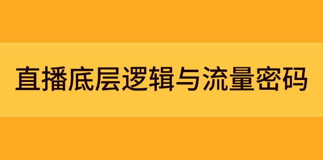 （14695期）直播底层逻辑与流量密码：定位模型+案例拆解，急速流承接与数据优化全攻略 - 副业心选-副业心选