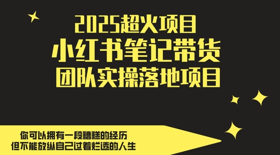 2025超火项目，副业最佳选择，小红书笔记带货团队实操落地项目，，轻松日入5张 - 副业心选-副业心选