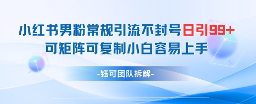 小红书男粉常规引流不封号日引99+变现简单 可矩阵可复制小白容易上手-副业心选
