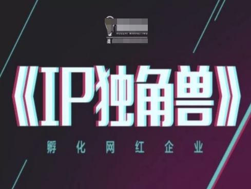 IP独角兽，孵化网红企业，ip教程 - 副业心选-副业心选