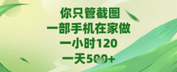 你只管截图，一部手机在家做，苹果安卓都可以，一天5张+ - 副业心选-副业心选