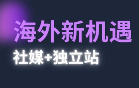 2025出海新机遇(社媒+独立站)，海外新机遇，实现独立站的高效运营与出海 - 副业心选-副业心选