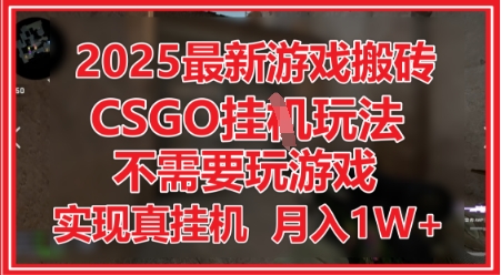 2025最新游戏搬砖，CSGO挂G，不需要玩游戏，实现真挂G，月入1W+ - 副业心选-副业心选