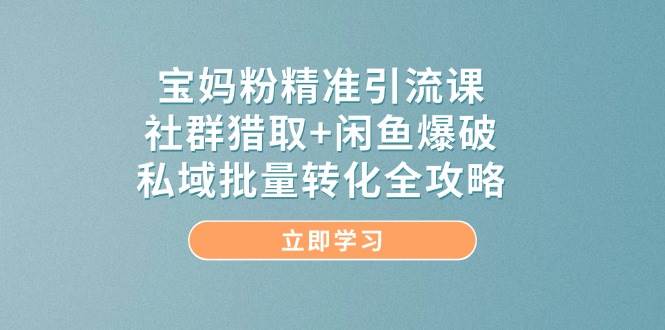 宝妈粉精准引流课，社群猎取+闲鱼爆破，私域批量转化全攻略 - 副业心选-副业心选