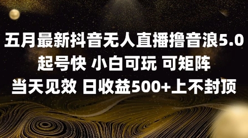 2025五月最新无人直播撸音浪单日产出5张+实操教程 - 副业心选-副业心选