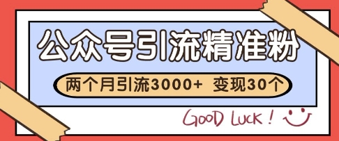 公众号精准粉引流玩法，2个月3000+精准粉，变现30个W - 副业心选-副业心选