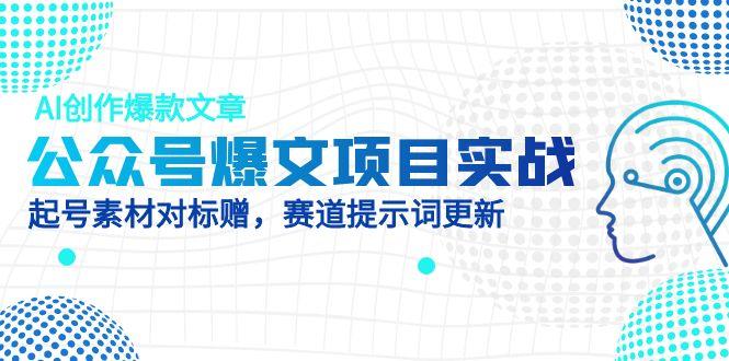 （14709期）公众号爆文项目实战，AI创作爆款文章，起号素材对标赠（附赛道AI提示词） - 副业心选-副业心选