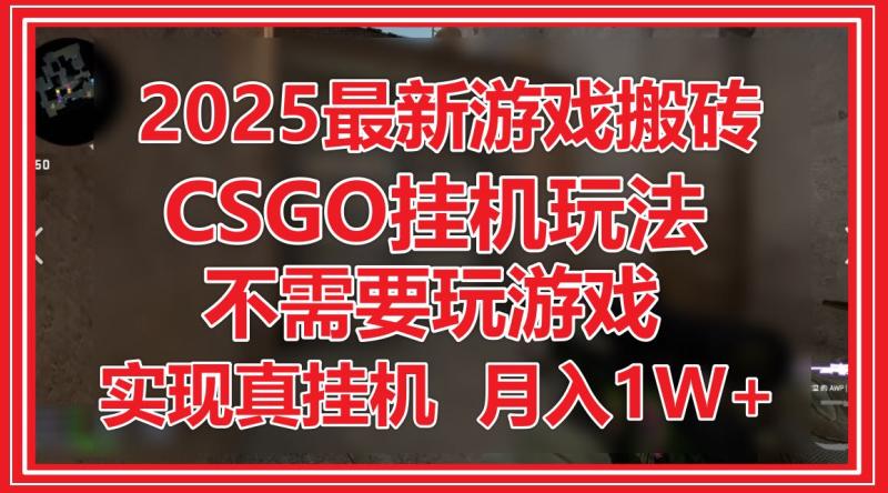 （14743期）2025最新游戏搬砖，CSGO挂机，不需要玩游戏，实现真挂机，月入1W+ - 副业心选-副业心选