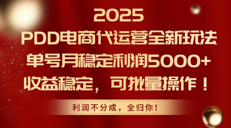 （14839期）2025PDD电商代运营全新玩法，单号月稳定利润5000+，收益稳定，可批量操作-副业心选