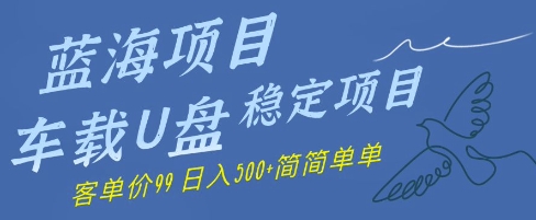 蓝海项目车载U盘稳定项目，挣的就是信息差，客单价99，日入几张简简单单 - 副业心选-副业心选