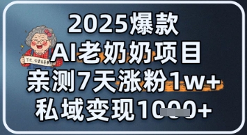 2025爆款 AI 老奶奶项目：亲测 7 天涨粉 1W+，私域变现 1k+ - 副业心选-副业心选