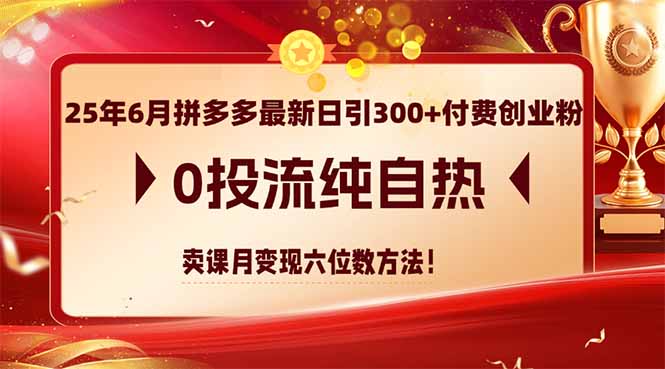 （14989期）25年6月拼多多最新日引300+付费创业粉，0投流纯自热 卖课月变现六位数方法 - 副业心选-副业心选