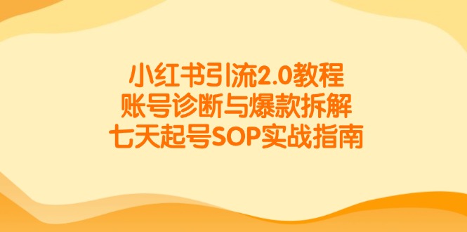 （14981期）小红书引流2.0教程，账号诊断与爆款拆解，七天起号SOP实战指南-副业心选