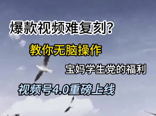 视频号4.0重磅上线，爆款视频难复刻？教你无脑操作宝妈学生党的福利 - 副业心选-副业心选