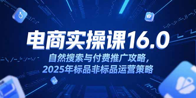 淘宝电商运营课16.0，自然搜索与付费推广攻略，2025年标品非标品运营策略-副业心选