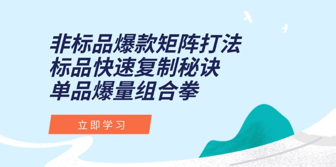 非标品爆款矩阵打法，标品快速复制秘诀，单品爆量组合拳-副业心选
