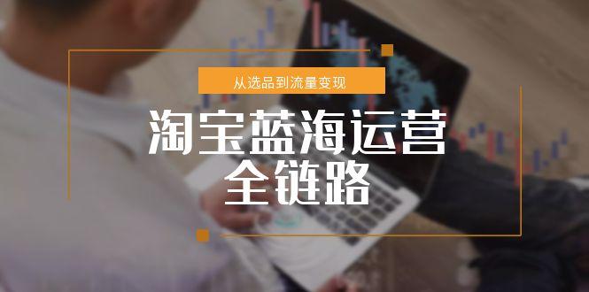 淘宝蓝海运营全链路，从选品到流量变现，小类目突围完整方案-副业心选