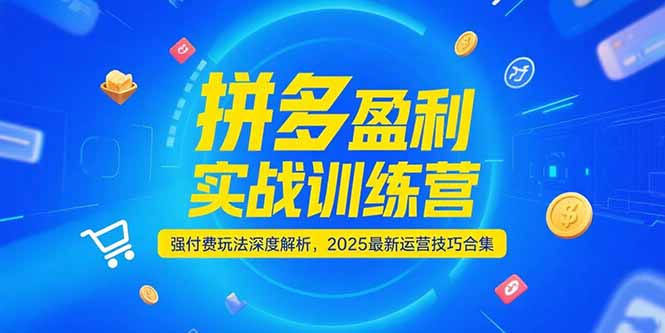 拼多多盈利实战训练营，强付费玩法深度解析，2025运营技巧合集-更新6月-副业心选