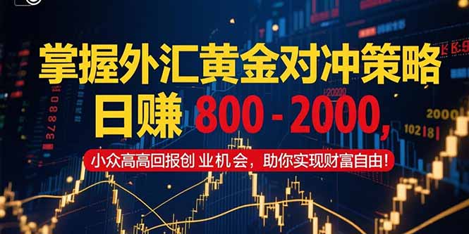 掌握外汇黄金对冲策略，日赚 800 – 2000，小众高回报创业机会，助你实…-副业心选