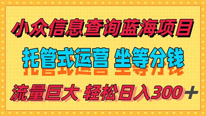 稳定日入300＋，小众信息查询蓝海项目，全程懒人式托管，解放你的时间-副业心选