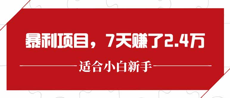 最新暴利项目，每单收益轻松在300以上，7天赚了2.4万 - 副业心选-副业心选