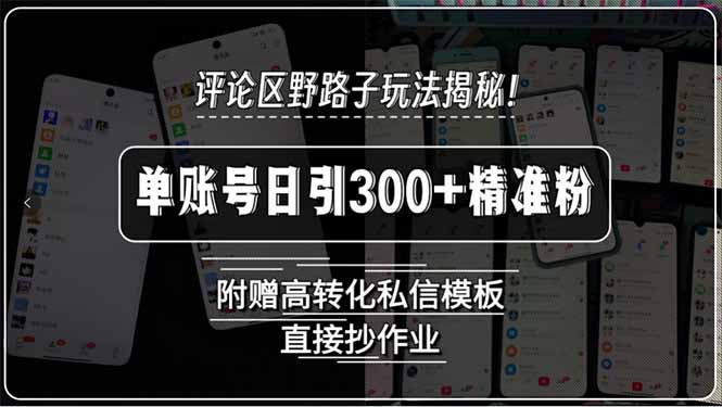 评论区野路子玩法揭秘！单账号日引300+精准粉，附赠高转化私信模板，直…-副业心选