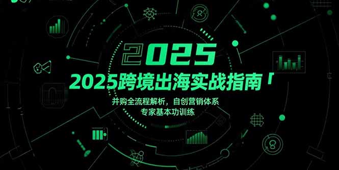 2025跨境出海实战指南，并购全流程解析，自创营销体系，专家基本功训练-副业心选