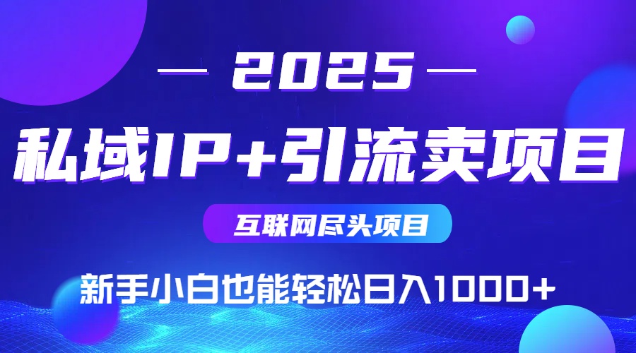 2025网创尽头项目，私域IP+引流，新手小白也能在家日入1000+-副业心选