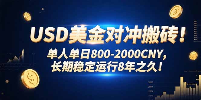 USD美金对冲搬砖!单人单日800-2000CNY，长期稳定运行8年之久!-副业心选