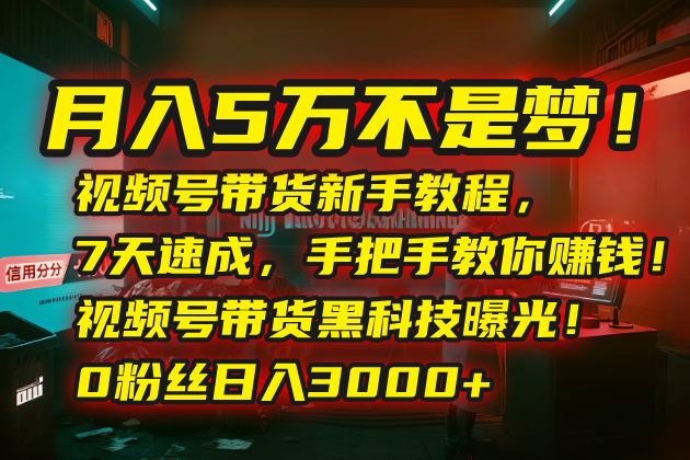 月入5万不是梦！视频号带货新手教程，7天速成，手把手教你赚钱！视频号… - 副业心选-副业心选