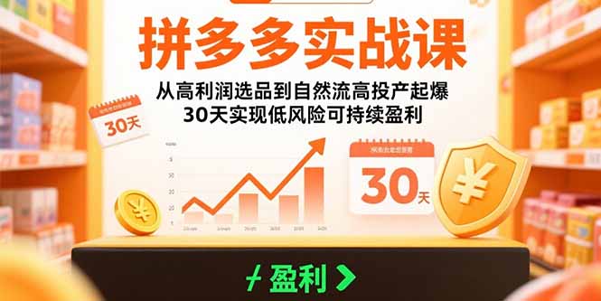拼多多实战课：从高利润选品到自然流高投产起爆 30天实现低风险可持续盈利-副业心选