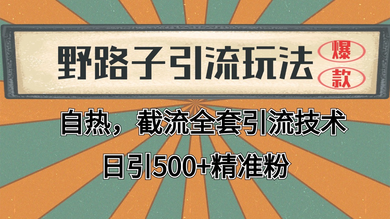 2024首发野路子引流玩法截流自热全平台打法，全自动引流【日引2000+精准客户】-副业心选