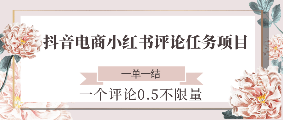 抖音电商小红书评论任务项目，一个评论0.5，一单一结 不限量-副业心选