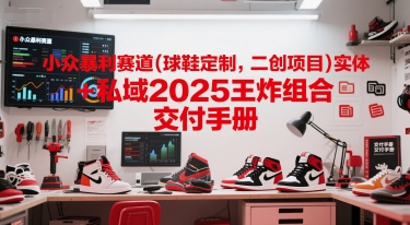 小众暴利赛道(球鞋定制，二创项目)实体+私域2025王炸组合  交付手册-副业心选
