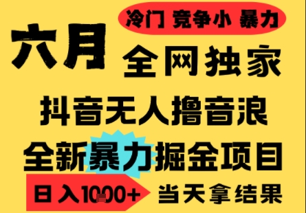 25年6月高爆抖音无人直播最新撸音浪掘金项目，小白可做，无脑日入1k+，门槛低可批量矩阵【揭秘】-副业心选