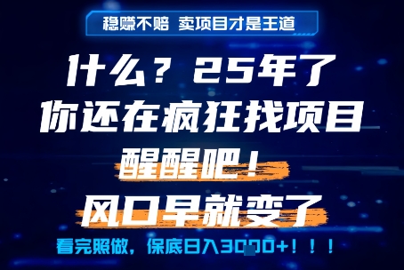 什么？25年你还在疯狂找项目做，醒醒吧，看完这些你全都懂了！【揭秘】-副业心选