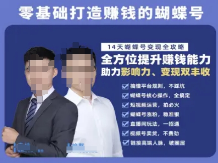 蝴蝶号专栏-视频号运营教程，零基础打造挣钱的蝴蝶号，14天蝴蝶号变现全攻略-副业心选