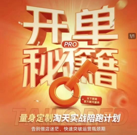 淘宝开单秘籍PRO，量身定制淘天实战陪跑计划，告别做店迷茫、快速突破运营瓶颈期(更新6月)-副业心选