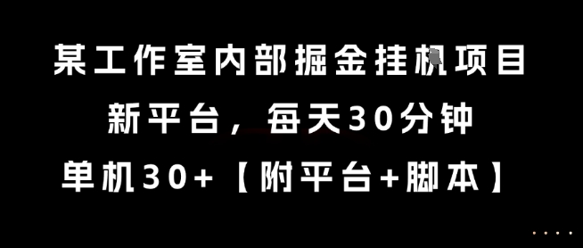 某工作室内部掘金挂G项目，新平台，每天30分钟，单机30+【揭秘】-副业心选